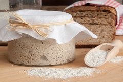 sourdough ingredients fermented